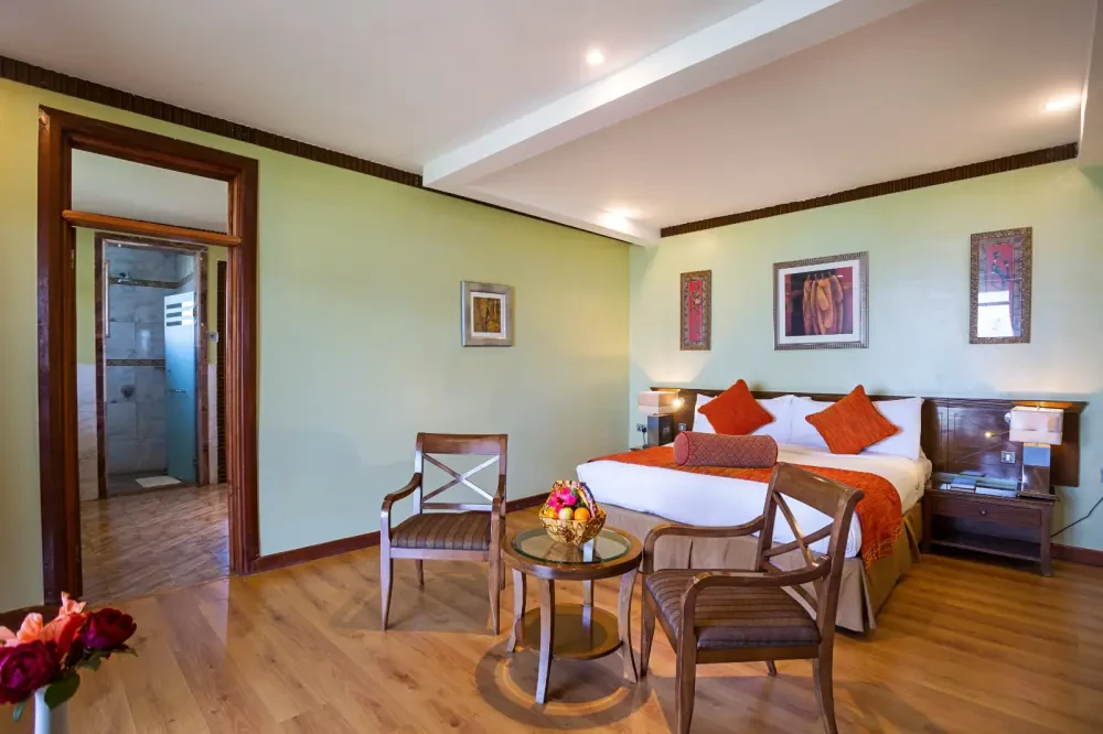 Room Image 4