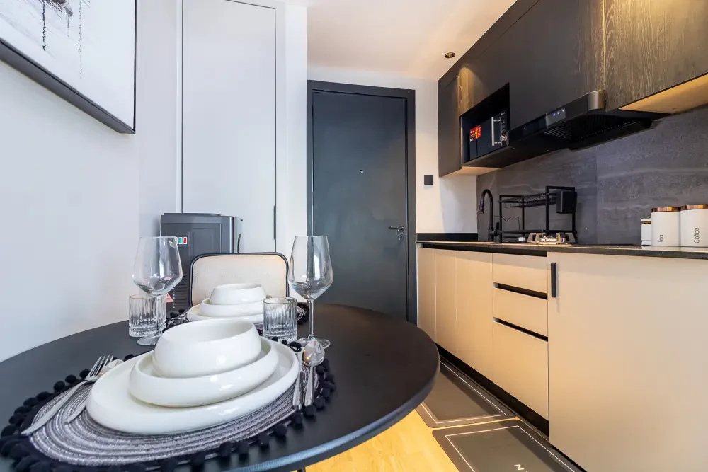 Executive Studio at Altura Apts 2507 — photo 26