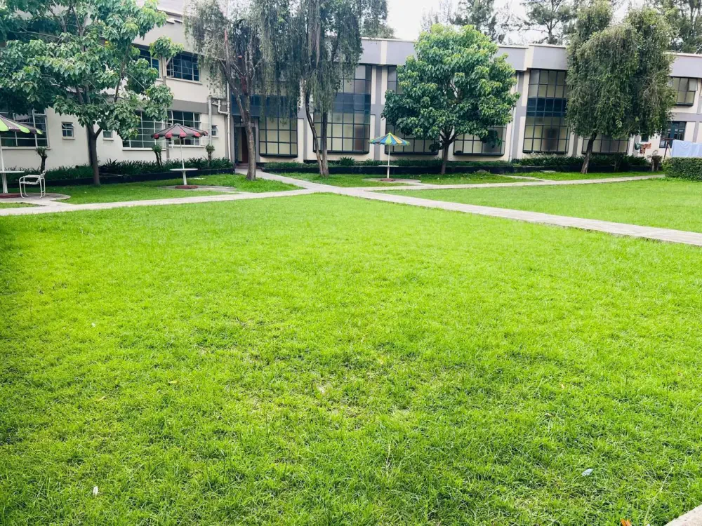 Golden Nest — main photo