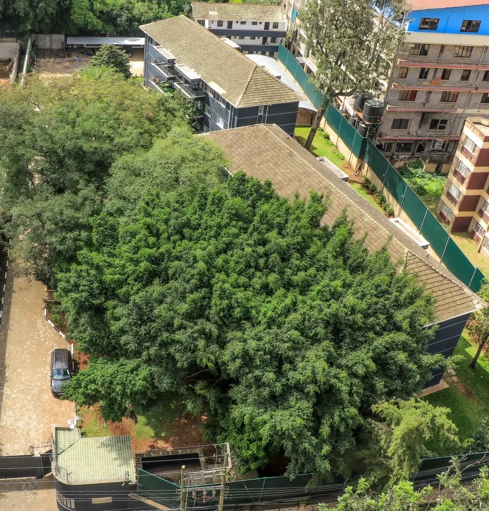 Rose Crown Suites Ascot Ascot A1 Three-Bedroom Apartment — photo 9